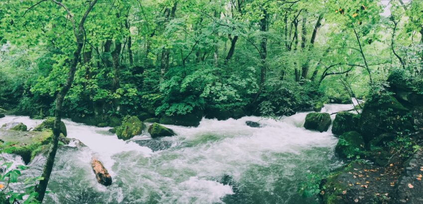 Oirase Gorge in Aomori