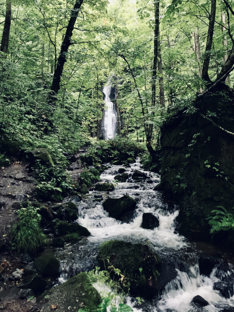 One of the Waterfalls along the Trekking