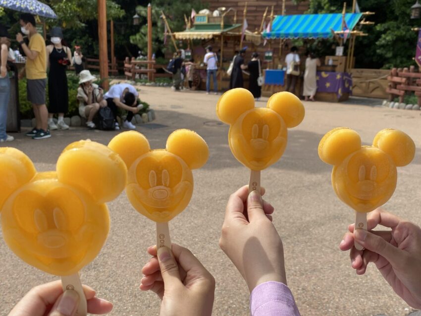 Halal Food Disneyland Tokyo Japan